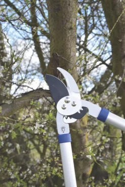 Spear & Jackson Razorsharp Dual-Geared Bypass Lopper 26 1/4" (670mm) -Garden Tools 199JR A2