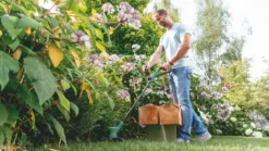 Bosch EasyGrassCut 26 280W 240V Grass Trimmer -Garden Tools 255RG A2