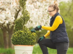 Bosch Isio 3.6V 1 X 1.5Ah Li-Ion Cordless Grass & Shrub Shear -Garden Tools 276PF A6