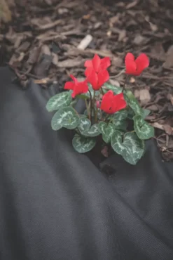 Apollo® Apollo Weed Control Fabric Roll 14 X 1m -Garden Tools 33004 A2