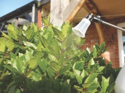 Solo SO402 White Handheld Sprayer 2Ltr -Garden Tools 4738J A3