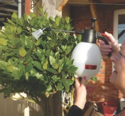 Solo SO402 White Handheld Sprayer 2Ltr -Garden Tools 4738J A4