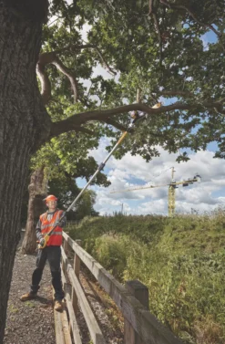 DeWalt DCMPS567P1 18V 1 X 5.0Ah Li-Ion XR Brushless Cordless 20cm Pole Saw -Garden Tools 586JT A6