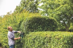 Bosch AdvancedHedgeCut 65 65cm 500W 240V Corded Brushless Hedge Trimmer -Garden Tools 688KV A4