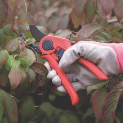 Spear & Jackson Anvil Razorsharp Active Secateurs 8 1/4" (210mm) -Garden Tools 989KG A2